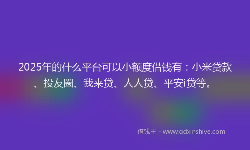 2025年的什么平台可以小额度借钱有：小米贷款、投友圈、我来贷、人人贷、平安i贷等。