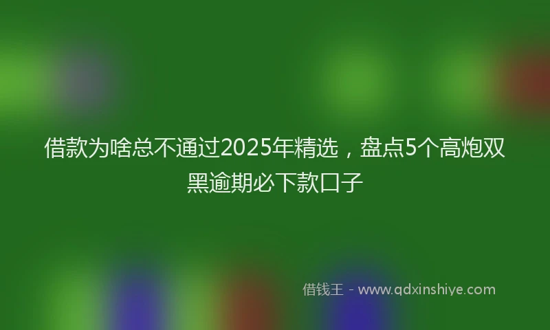 借款为啥总不通过2025年精选，盘点5个高炮双黑逾期必下款口子