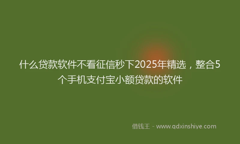 什么贷款软件不看征信秒下2025年精选，整合5个手机支付宝小额贷款的软件