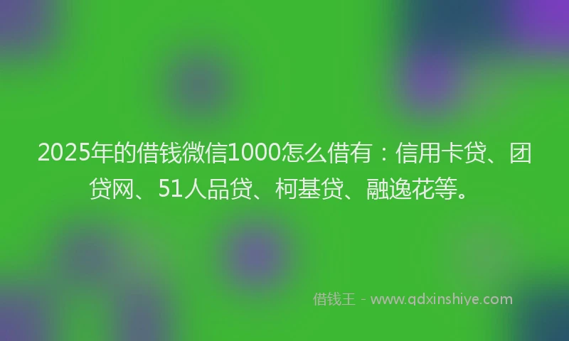 2025年的借钱微信1000怎么借有：信用卡贷、团贷网、51人品贷、柯基贷、融逸花等。