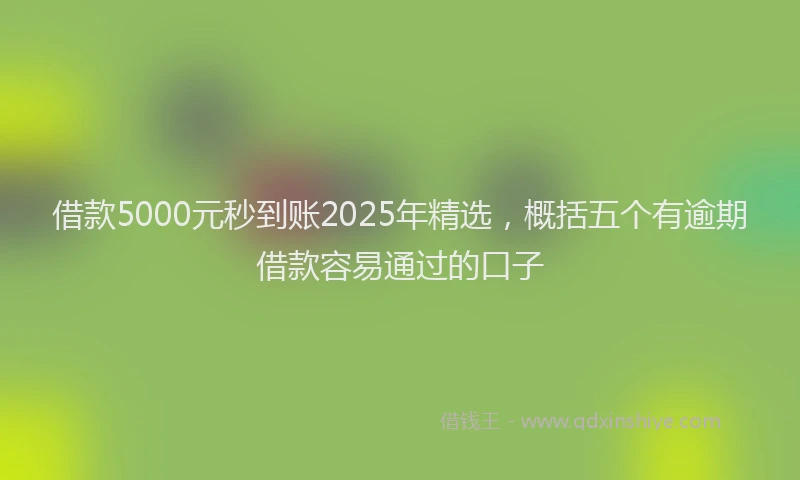 借款5000元秒到账2025年精选，概括五个有逾期借款容易通过的口子