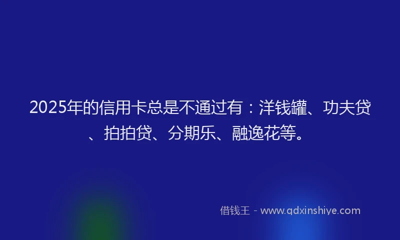 2025年的信用卡总是不通过有：洋钱罐、功夫贷、拍拍贷、分期乐、融逸花等。