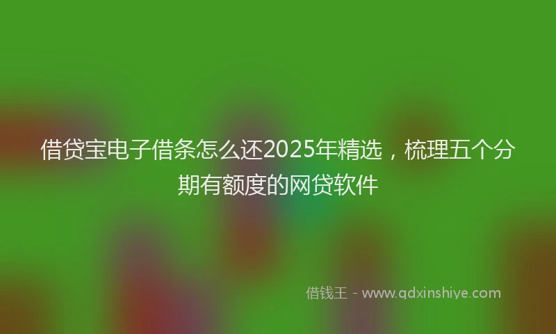 借贷宝电子借条怎么还2025年精选，梳理五个分期有额度的网贷软件