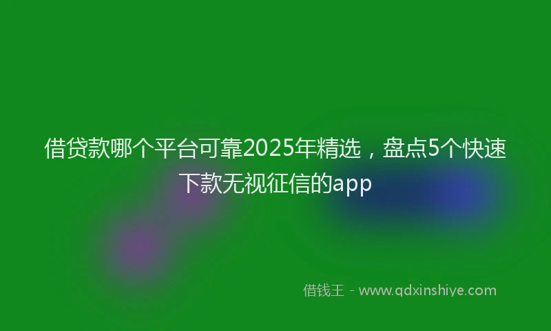 借贷款哪个平台可靠2025年精选，盘点5个快速下款无视征信的app
