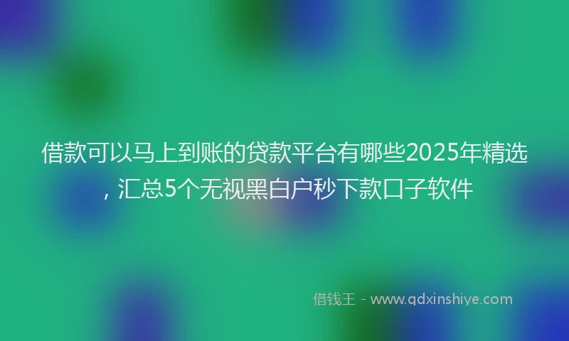 借款可以马上到账的贷款平台有哪些2025年精选，汇总5个无视黑白户秒下款口子软件