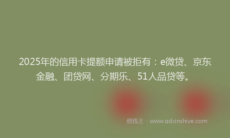 2025年的信用卡提额申请被拒有：e微贷、京东金融、团贷网、分期乐、51人品贷等。