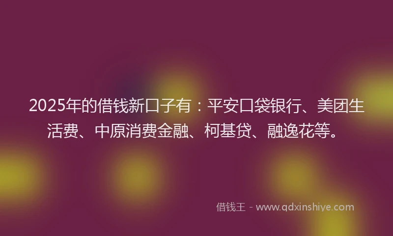 2025年的借钱新口子有：平安口袋银行、美团生活费、中原消费金融、柯基贷、融逸花等。