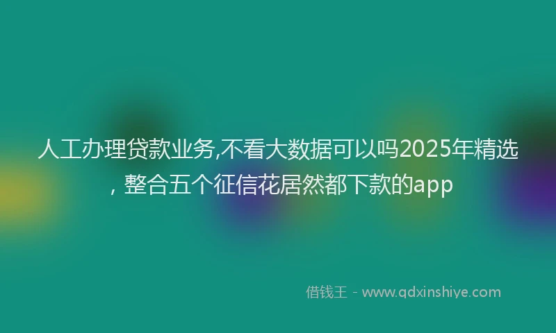 人工办理贷款业务,不看大数据可以吗2025年精选，整合五个征信花居然都下款的app