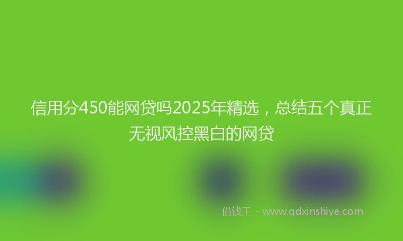信用分450能网贷吗2025年精选，总结五个真正无视风控黑白的网贷