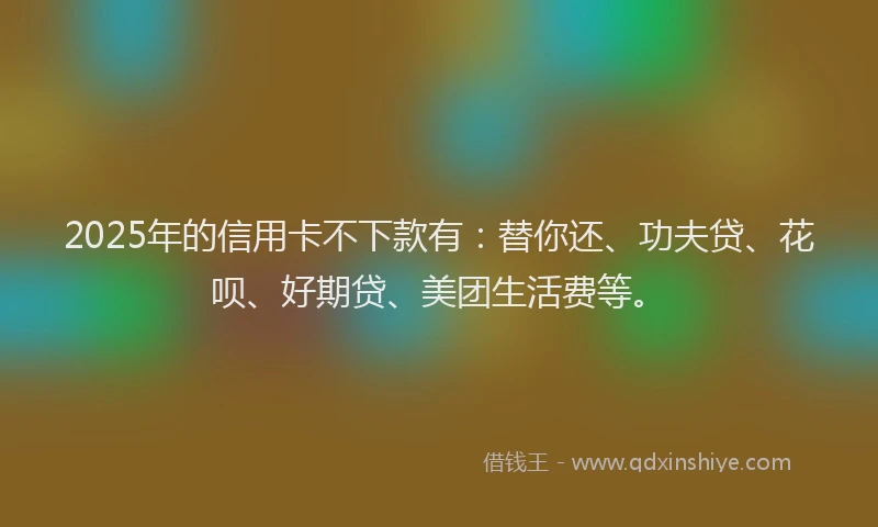 2025年的信用卡不下款有：替你还、功夫贷、花呗、好期贷、美团生活费等。