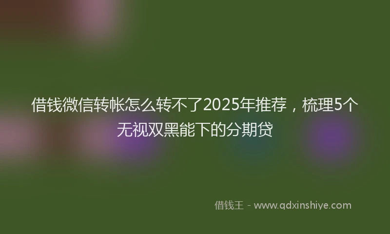 借钱微信转帐怎么转不了2025年推荐，梳理5个无视双黑能下的分期贷