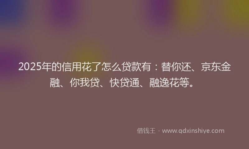 2025年的信用花了怎么贷款有：替你还、京东金融、你我贷、快贷通、融逸花等。