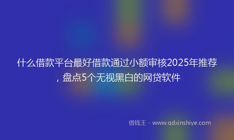 什么借款平台最好借款通过小额审核2025年推荐，盘点5个无视黑白的网贷软件