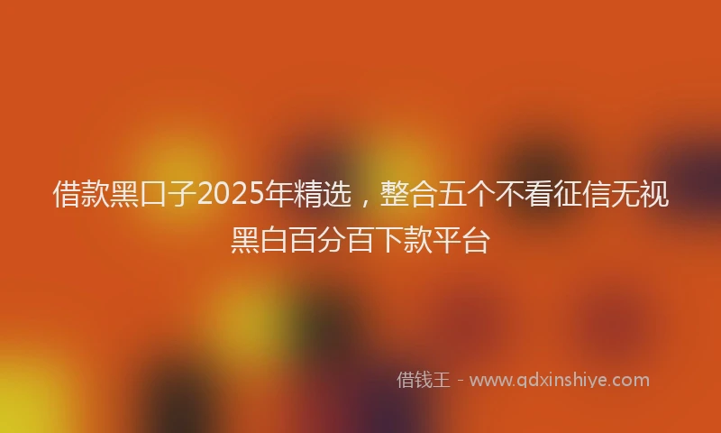 借款黑口子2025年精选，整合五个不看征信无视黑白百分百下款平台