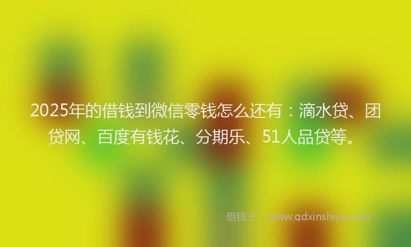 2025年的借钱到微信零钱怎么还有：滴水贷、团贷网、百度有钱花、分期乐、51人品贷等。