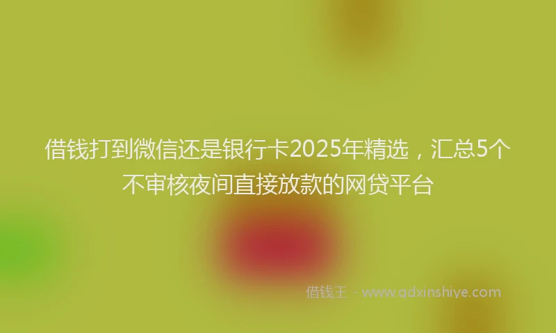 借钱打到微信还是银行卡2025年精选，汇总5个不审核夜间直接放款的网贷平台