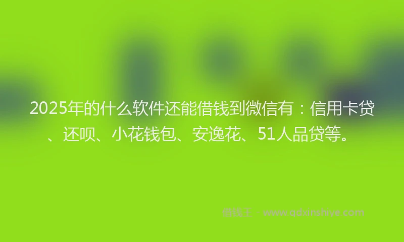 2025年的什么软件还能借钱到微信有：信用卡贷、还呗、小花钱包、安逸花、51人品贷等。