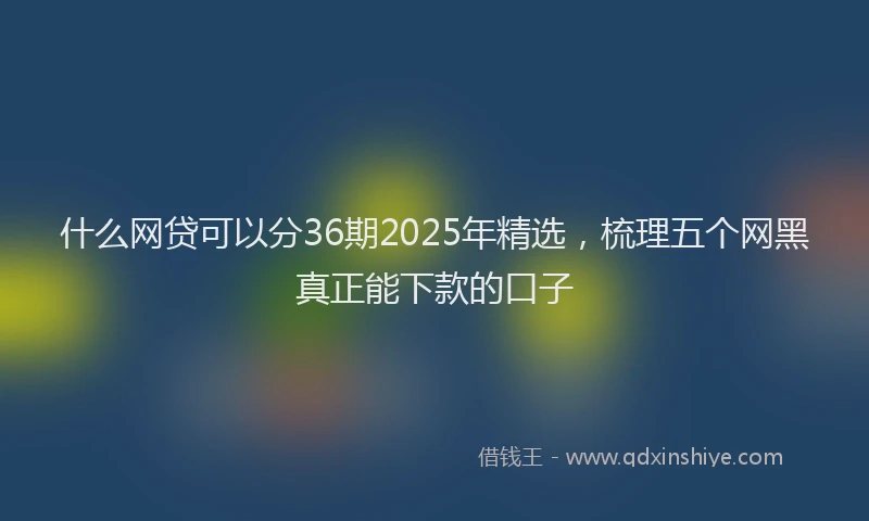 什么网贷可以分36期2025年精选，梳理五个网黑真正能下款的口子