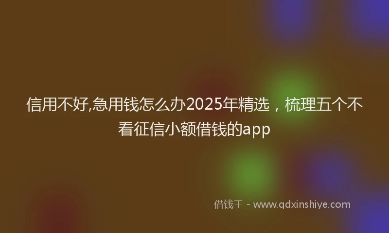 信用不好,急用钱怎么办2025年精选，梳理五个不看征信小额借钱的app