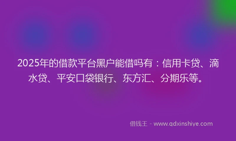 2025年的借款平台黑户能借吗有：信用卡贷、滴水贷、平安口袋银行、东方汇、分期乐等。