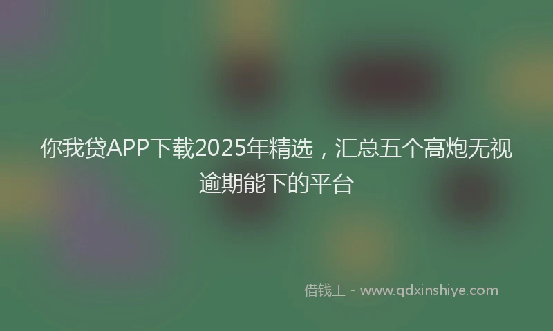 你我贷APP下载2025年精选，汇总五个高炮无视逾期能下的平台