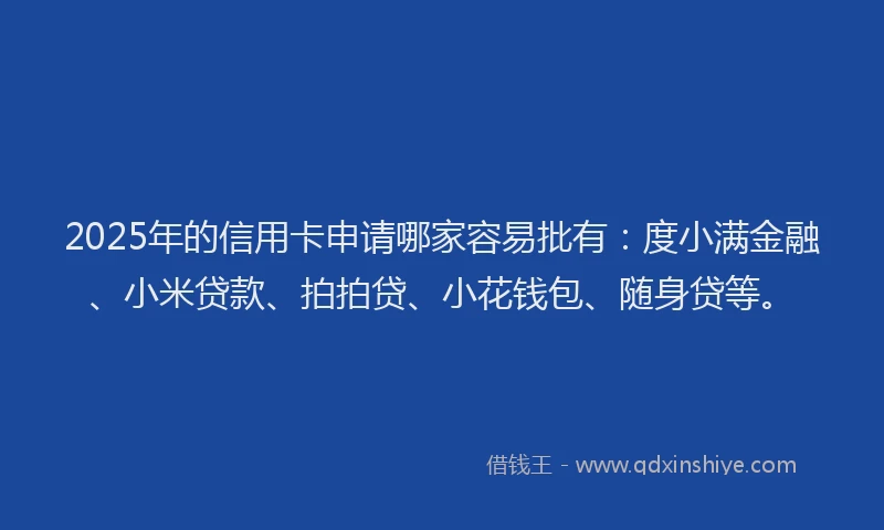 2025年的信用卡申请哪家容易批有：度小满金融、小米贷款、拍拍贷、小花钱包、随身贷等。
