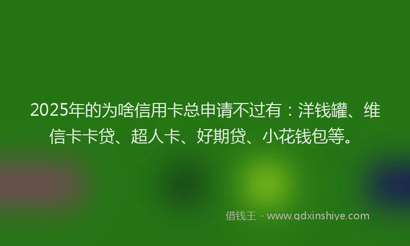 2025年的为啥信用卡总申请不过有：洋钱罐、维信卡卡贷、超人卡、好期贷、小花钱包等。