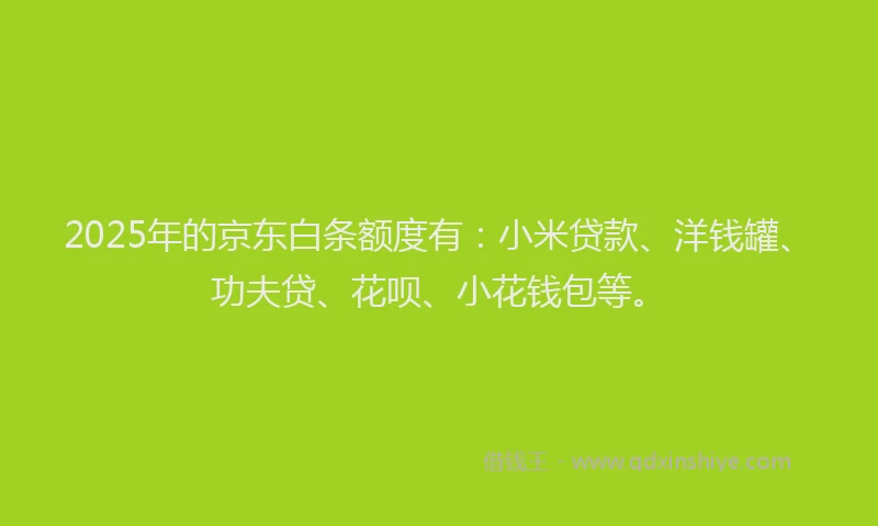 2025年的京东白条额度有：小米贷款、洋钱罐、功夫贷、花呗、小花钱包等。