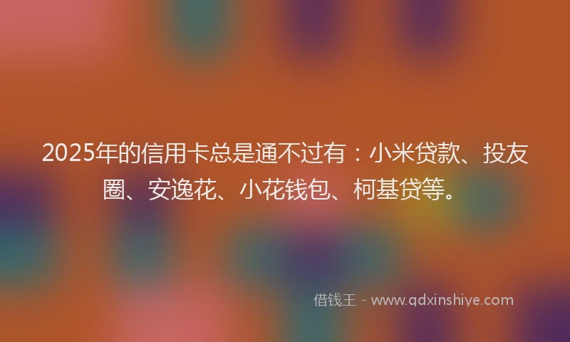 2025年的信用卡总是通不过有：小米贷款、投友圈、安逸花、小花钱包、柯基贷等。