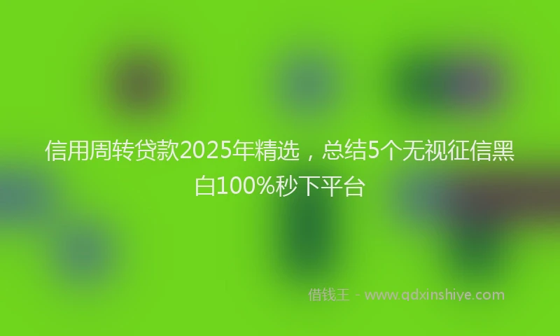 信用周转贷款2025年精选，总结5个无视征信黑白100%秒下平台