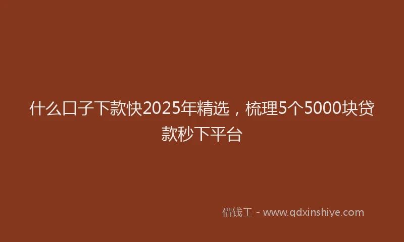 什么口子下款快2025年精选，梳理5个5000块贷款秒下平台