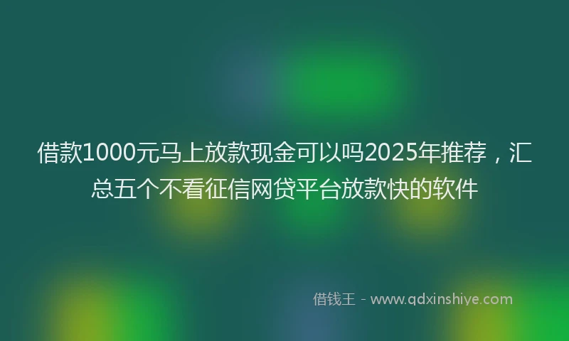 借款1000元马上放款现金可以吗2025年推荐，汇总五个不看征信网贷平台放款快的软件