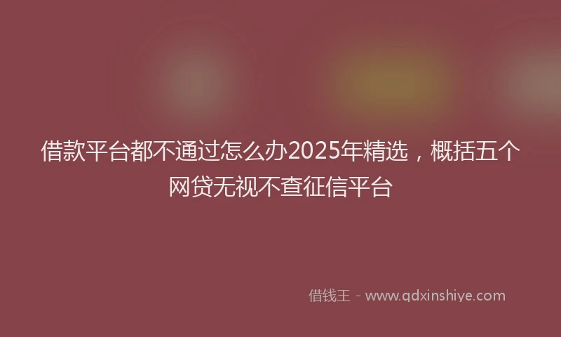 借款平台都不通过怎么办2025年精选，概括五个网贷无视不查征信平台