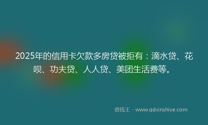 2025年的信用卡欠款多房贷被拒有：滴水贷、花呗、功夫贷、人人贷、美团生活费等。