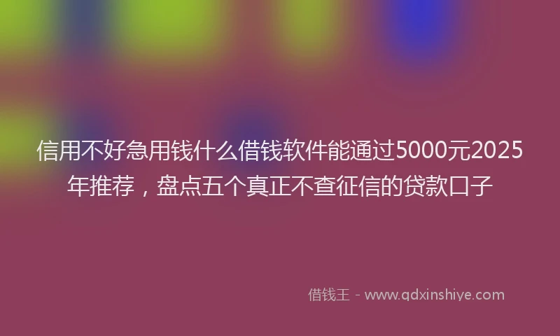 信用不好急用钱什么借钱软件能通过5000元2025年推荐，盘点五个真正不查征信的贷款口子
