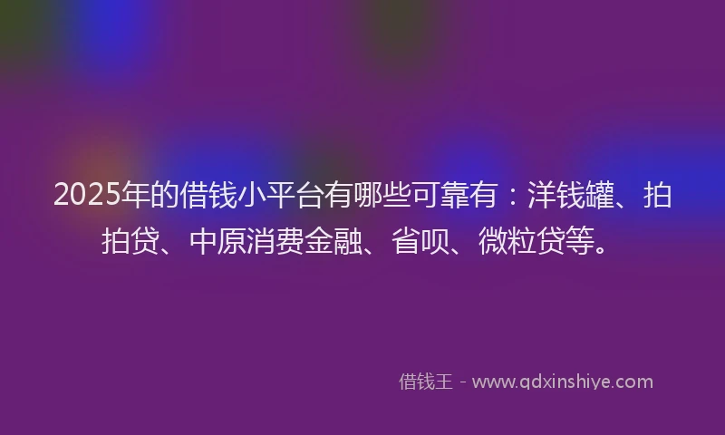 2025年的借钱小平台有哪些可靠有：洋钱罐、拍拍贷、中原消费金融、省呗、微粒贷等。