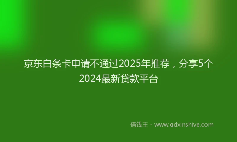 京东白条卡申请不通过2025年推荐，分享5个2024最新贷款平台