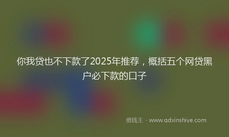 你我贷也不下款了2025年推荐，概括五个网贷黑户必下款的口子