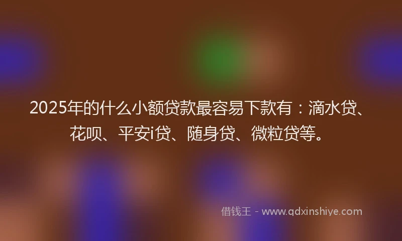 2025年的什么小额贷款最容易下款有：滴水贷、花呗、平安i贷、随身贷、微粒贷等。