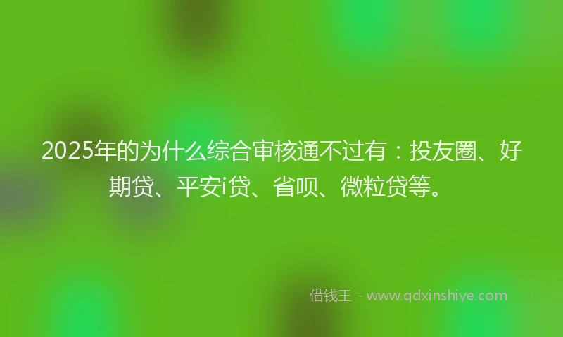 2025年的为什么综合审核通不过有：投友圈、好期贷、平安i贷、省呗、微粒贷等。
