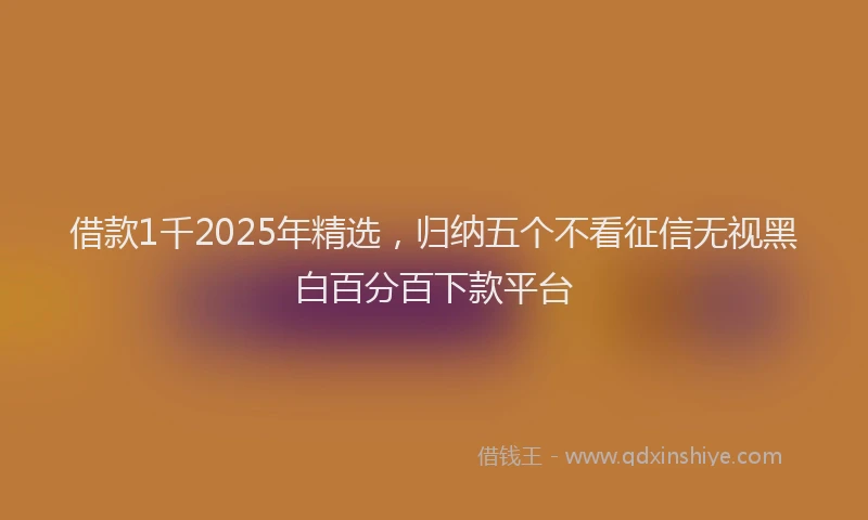 借款1千2025年精选，归纳五个不看征信无视黑白百分百下款平台