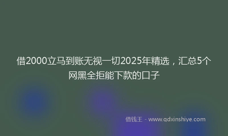 借2000立马到账无视一切2025年精选，汇总5个网黑全拒能下款的口子