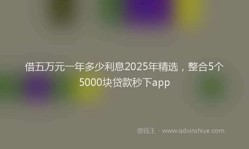 借五万元一年多少利息2025年精选，整合5个5000块贷款秒下app