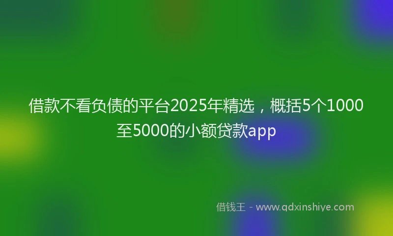 借款不看负债的平台2025年精选，概括5个1000至5000的小额贷款app