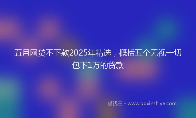 五月网贷不下款2025年精选，概括五个无视一切包下1万的贷款
