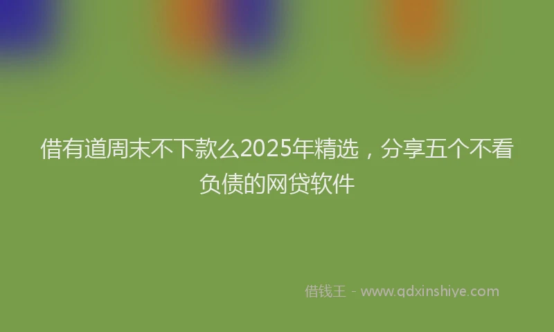 借有道周末不下款么2025年精选，分享五个不看负债的网贷软件