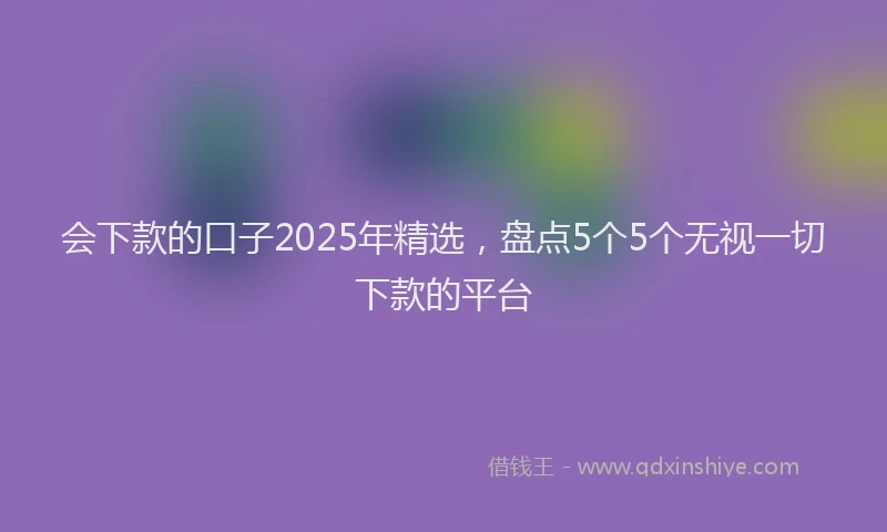 会下款的口子2025年精选，盘点5个5个无视一切下款的平台