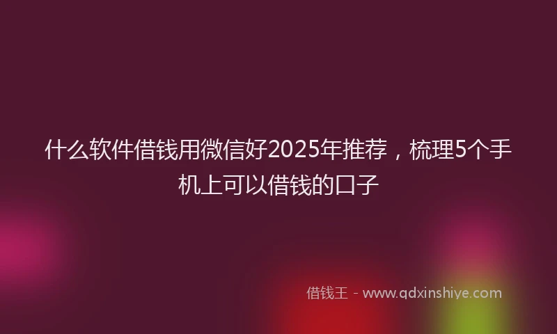 什么软件借钱用微信好2025年推荐，梳理5个手机上可以借钱的口子