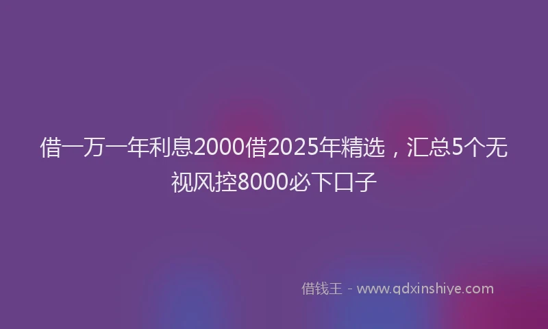 借一万一年利息2000借2025年精选，汇总5个无视风控8000必下口子