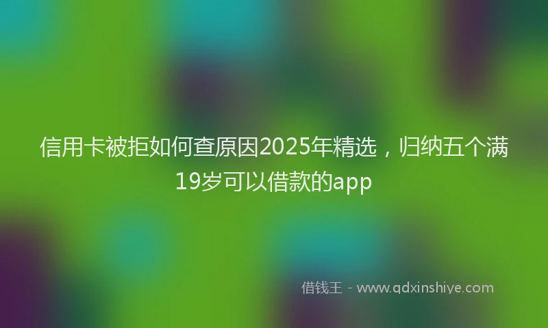 信用卡被拒如何查原因2025年精选，归纳五个满19岁可以借款的app